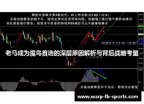 老马成为魔鸟首选的深层原因解析与背后战略考量